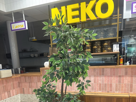 Plastväxt inkl. korg