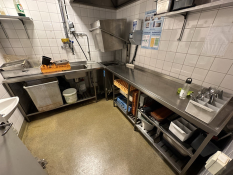 Diskmaskin inkl. 2 st. diskbänkar rostfri