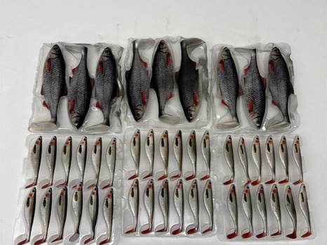 Parti med fiskedrag Westin, Ricky the roach och Shadteez.