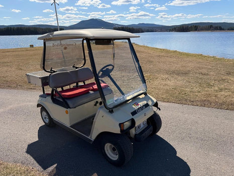 CLUB CAR DS ELECTRIC -2004