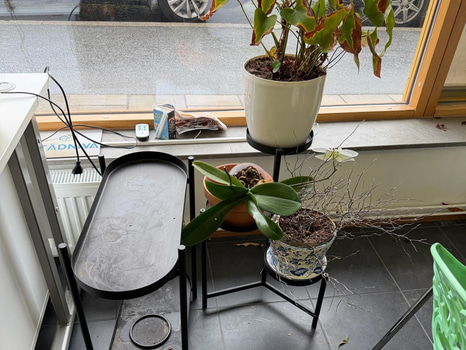 Blomhylla 2 st