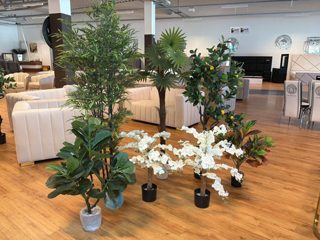 7 st konstväxter, 70-180 cm