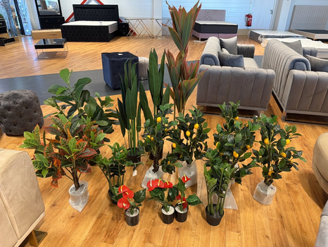 15 st konstväxter, 30-140 cm