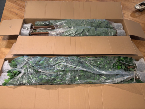 8 st konstväxter, ca 150-180 cm