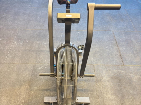 Echo Bike, Rogue
