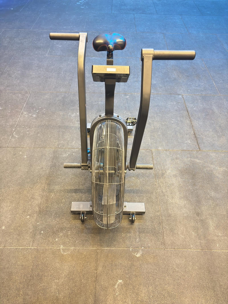 Echo Bike, Rogue