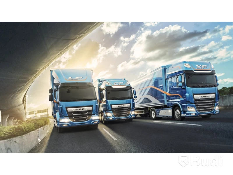 Budi takes over most of the market for used DAF trucks